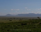 tanzanie_serengeti_115