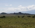 tanzanie_serengeti_116