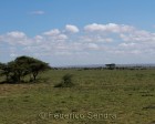 tanzanie_serengeti_117