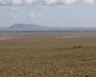 tanzanie_serengeti_121