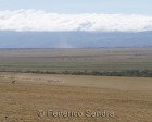 tanzanie_serengeti_123