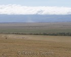 tanzanie_serengeti_123