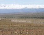 tanzanie_serengeti_125