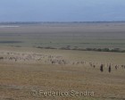 tanzanie_serengeti_127