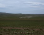 tanzanie_serengeti_132