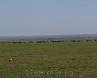 tanzanie_serengeti_144