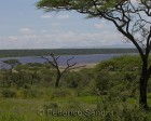 tanzanie_serengeti_146