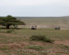 tanzanie_serengeti_safari100